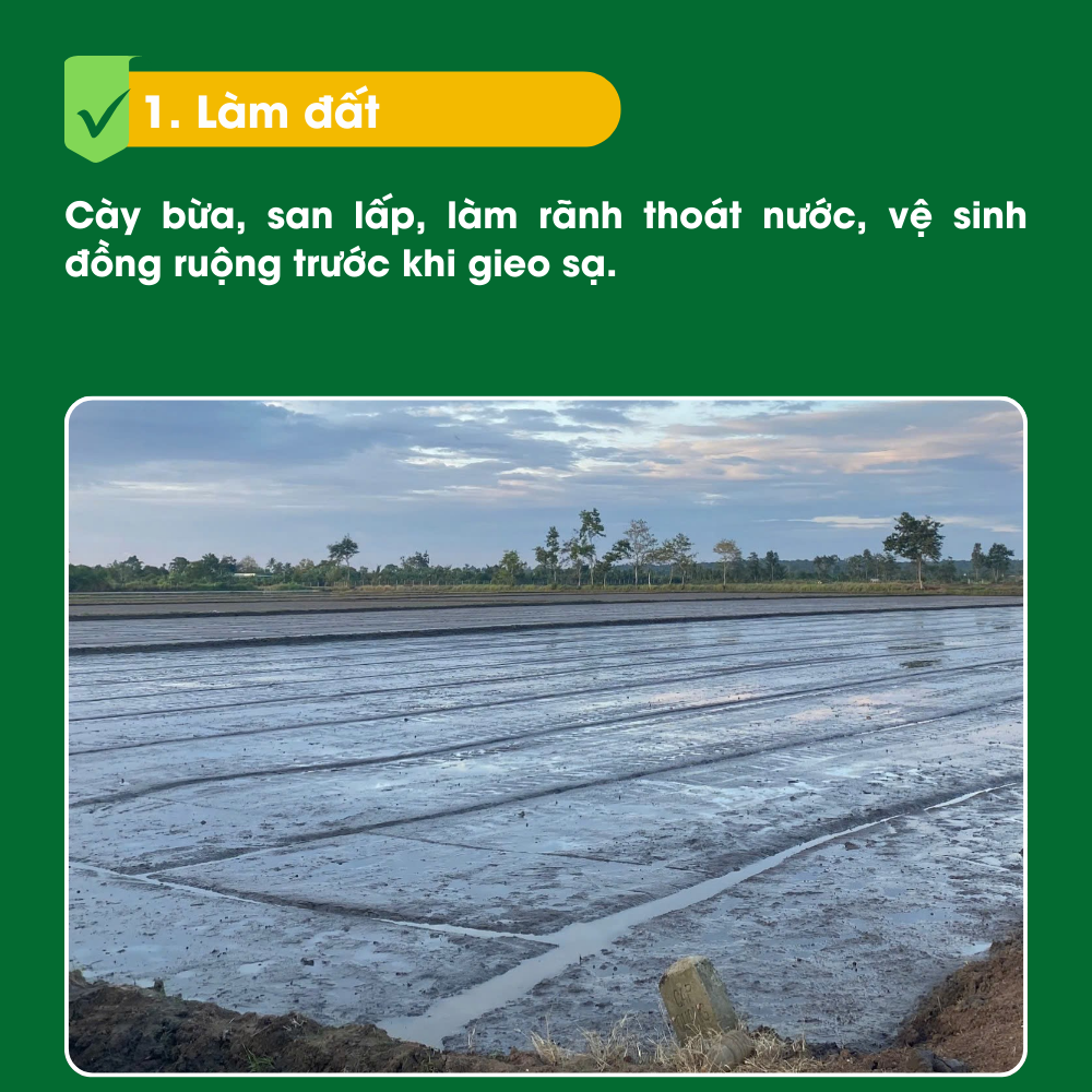 1. Làm đất - Quy trình sản xuất lúa gạo VinaGreen