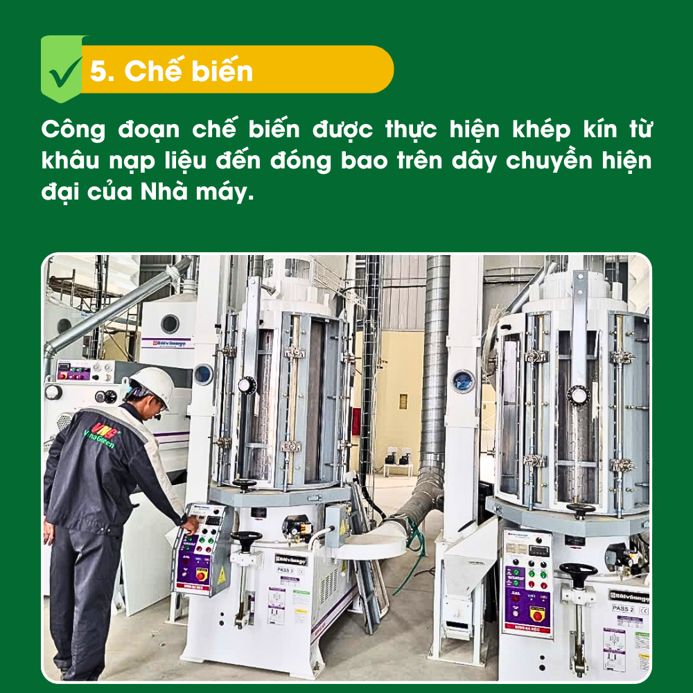 5. Chế biến - Quy trình sản xuất lúa gạo VinaGreen