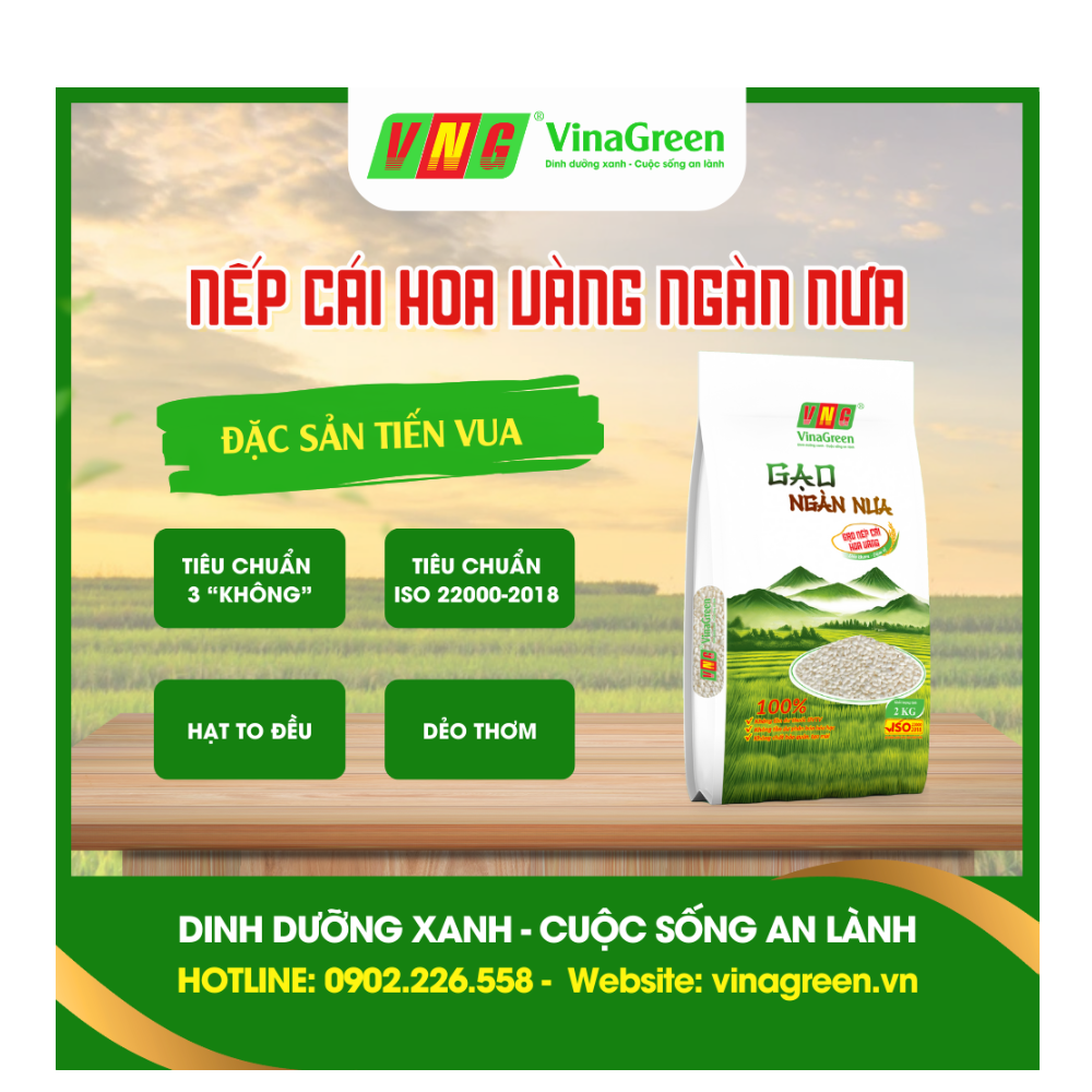 nếp cái hoa vàng NGÀN NƯA