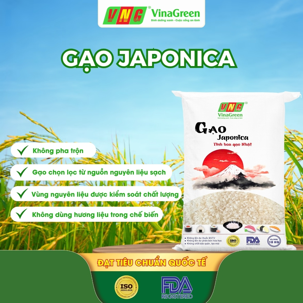 Gạo Japonica VinaGreen