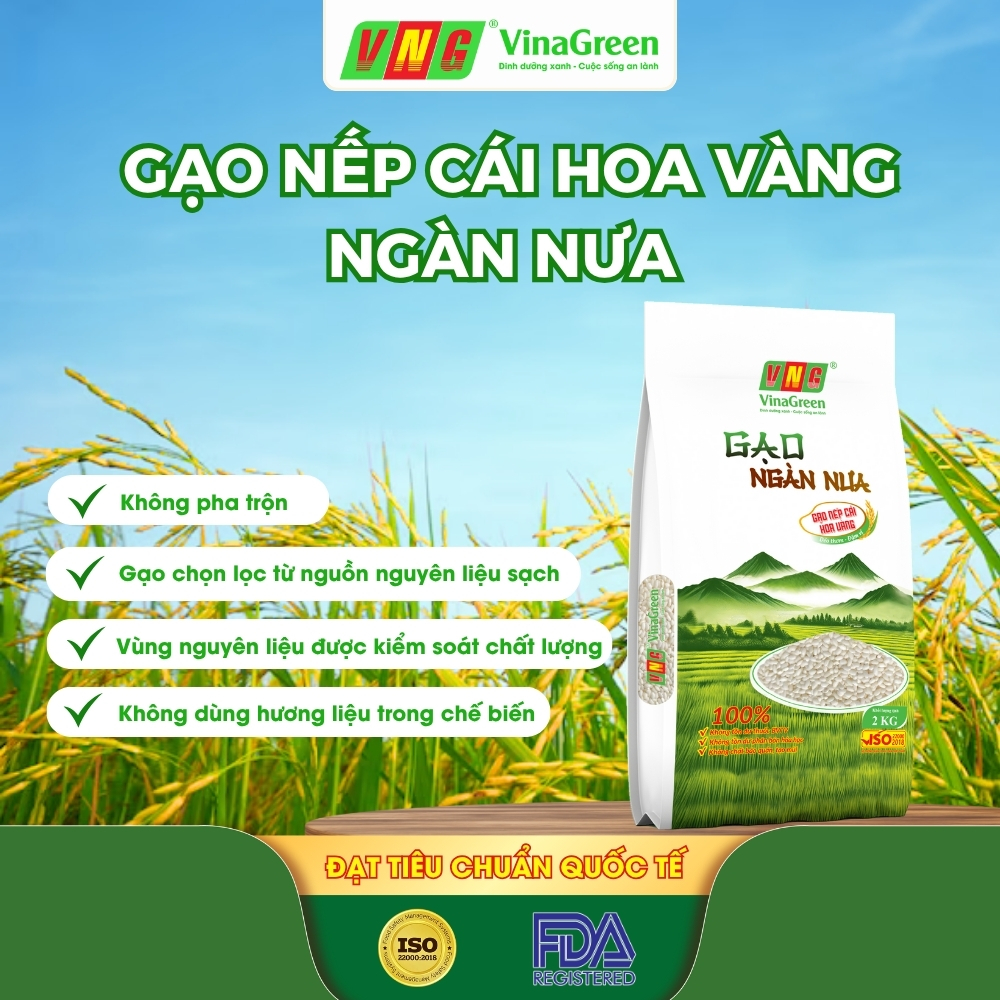 Gạo Nếp Cái Hoa Vàng Ngàn Nưa VinaGreen