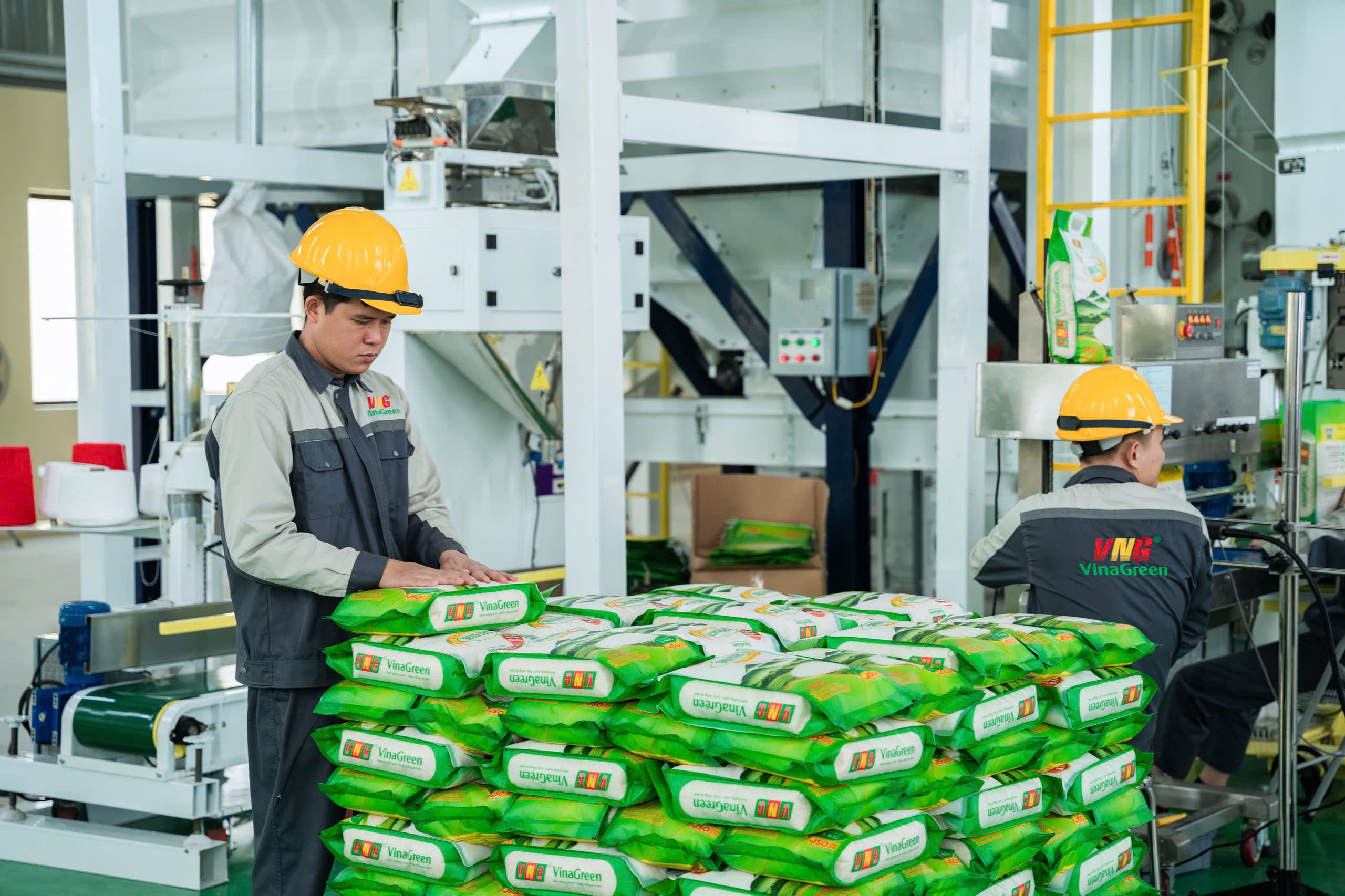 Tìm Đại Lý Phân Phối Gạo Cao Cấp Tại Thanh Hóa