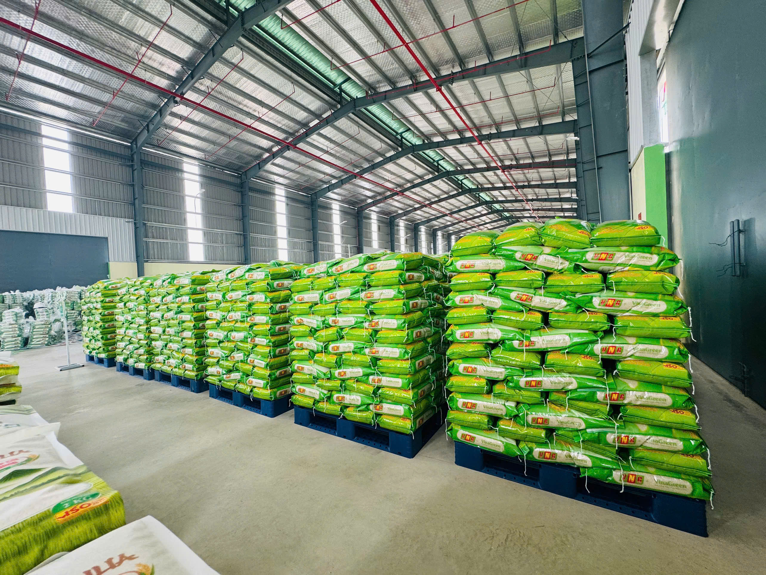 Nguồn Sỉ Gạo Tại Phường Phú Diễn – Giá Tận Gốc Từ Nhà Máy Gạo Sạch VinaGreen