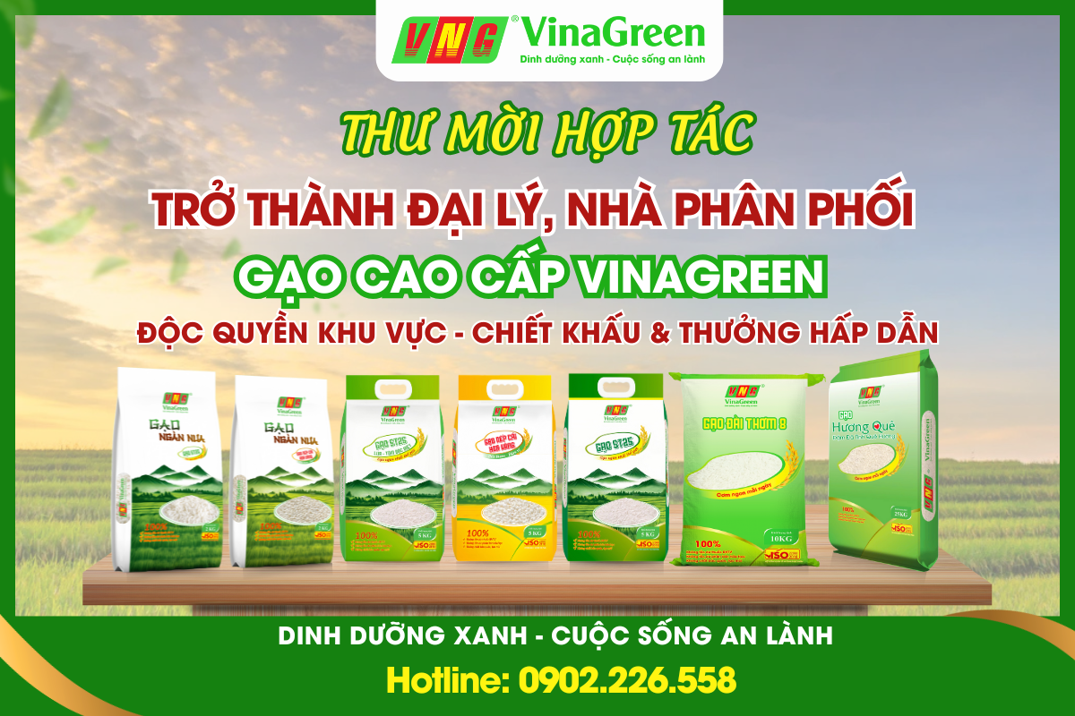 Tu-Van-Mo-Dai-LY-Gao-Tai-Thanh-Hoa
