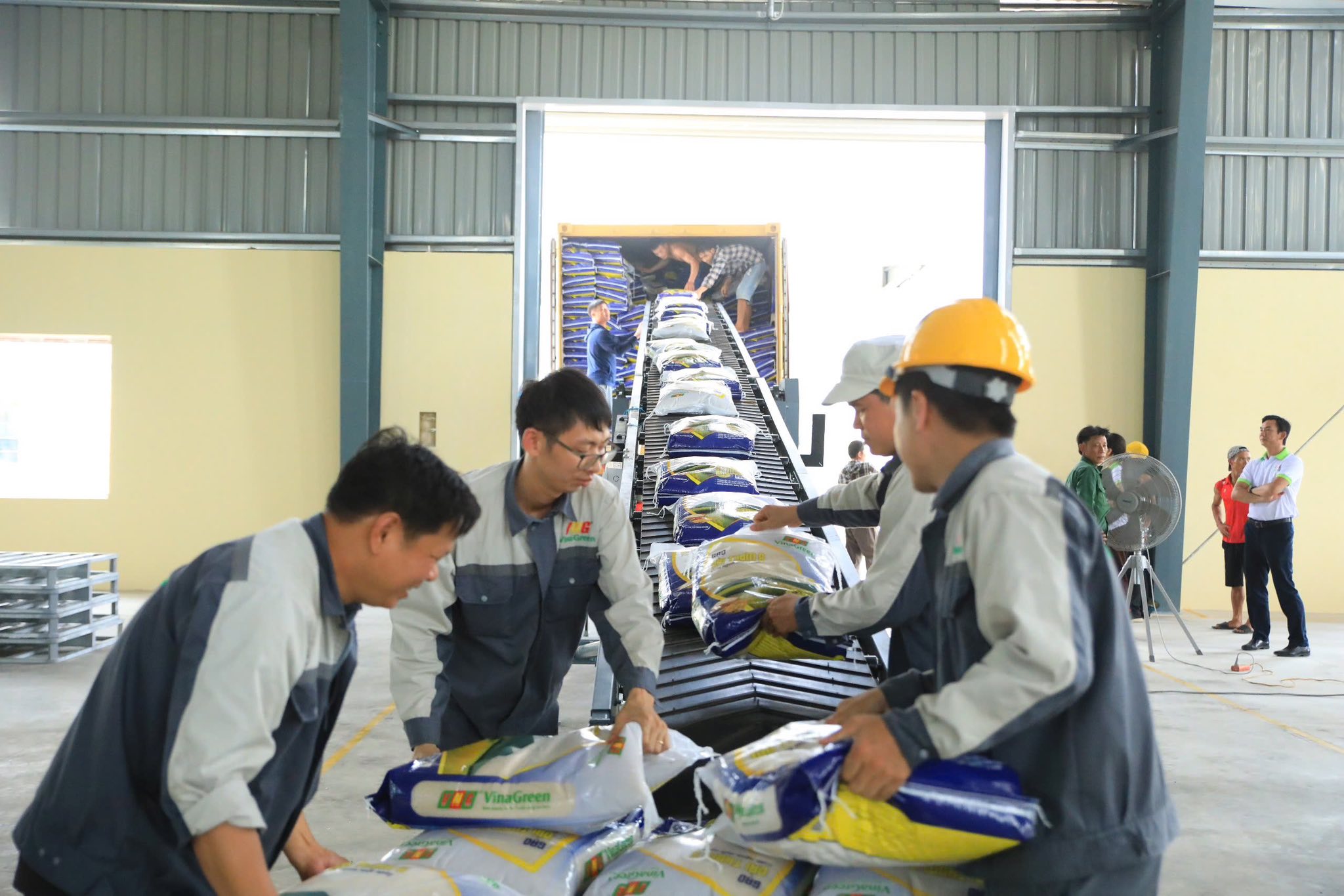 VinaGreen Vượt Qua 56/56 Tiêu Chí Xuất Khẩu Gạo Sang Thị Trường EU