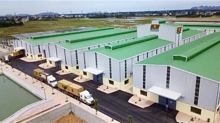 VinaGreen xuất khẩu gạo – Bước ngoặt chiến lược chinh phục thị trường châu Âu