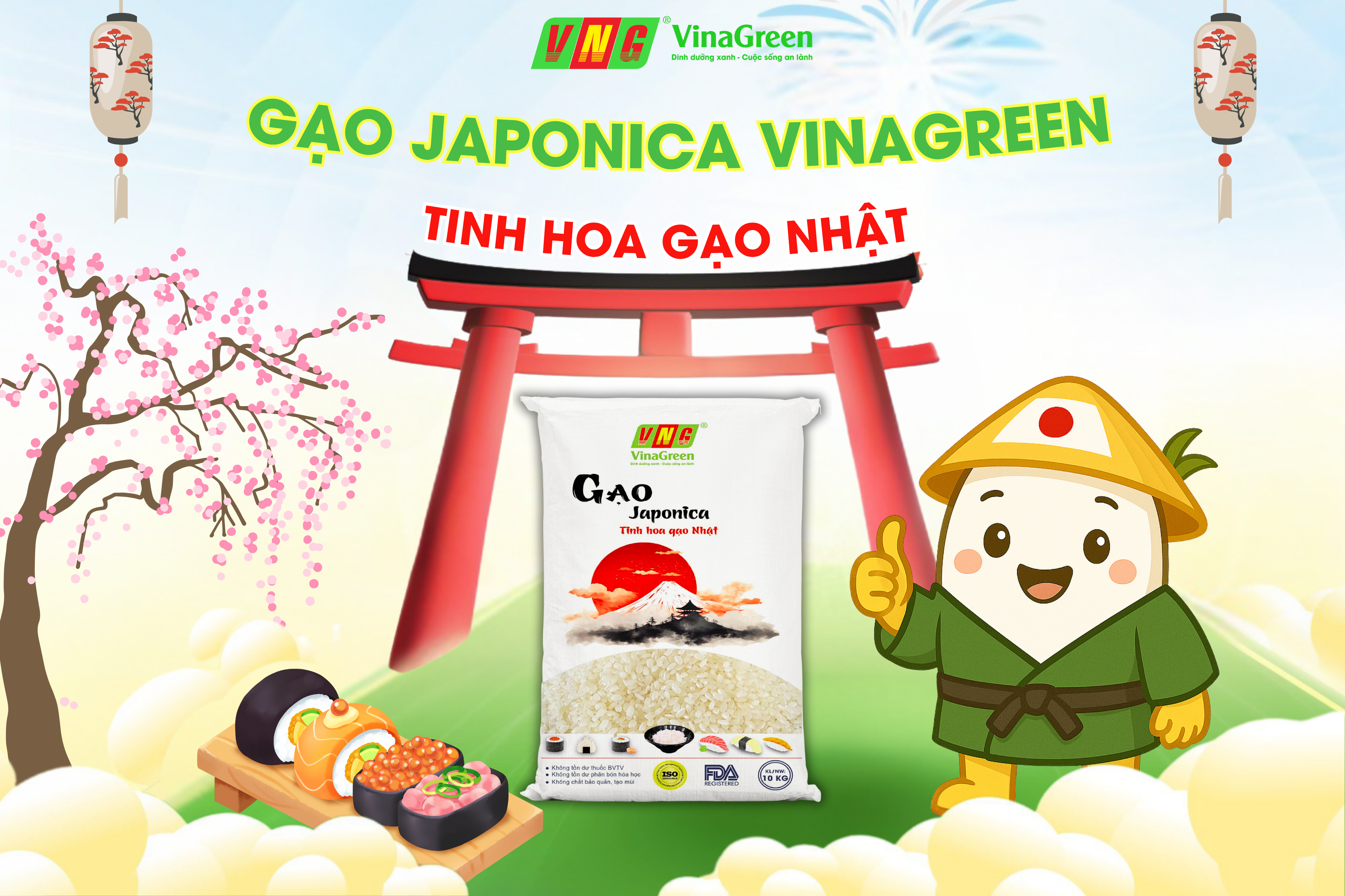 Gạo Japonica Vinagreen - Tinh Hoa Gạo Nhật