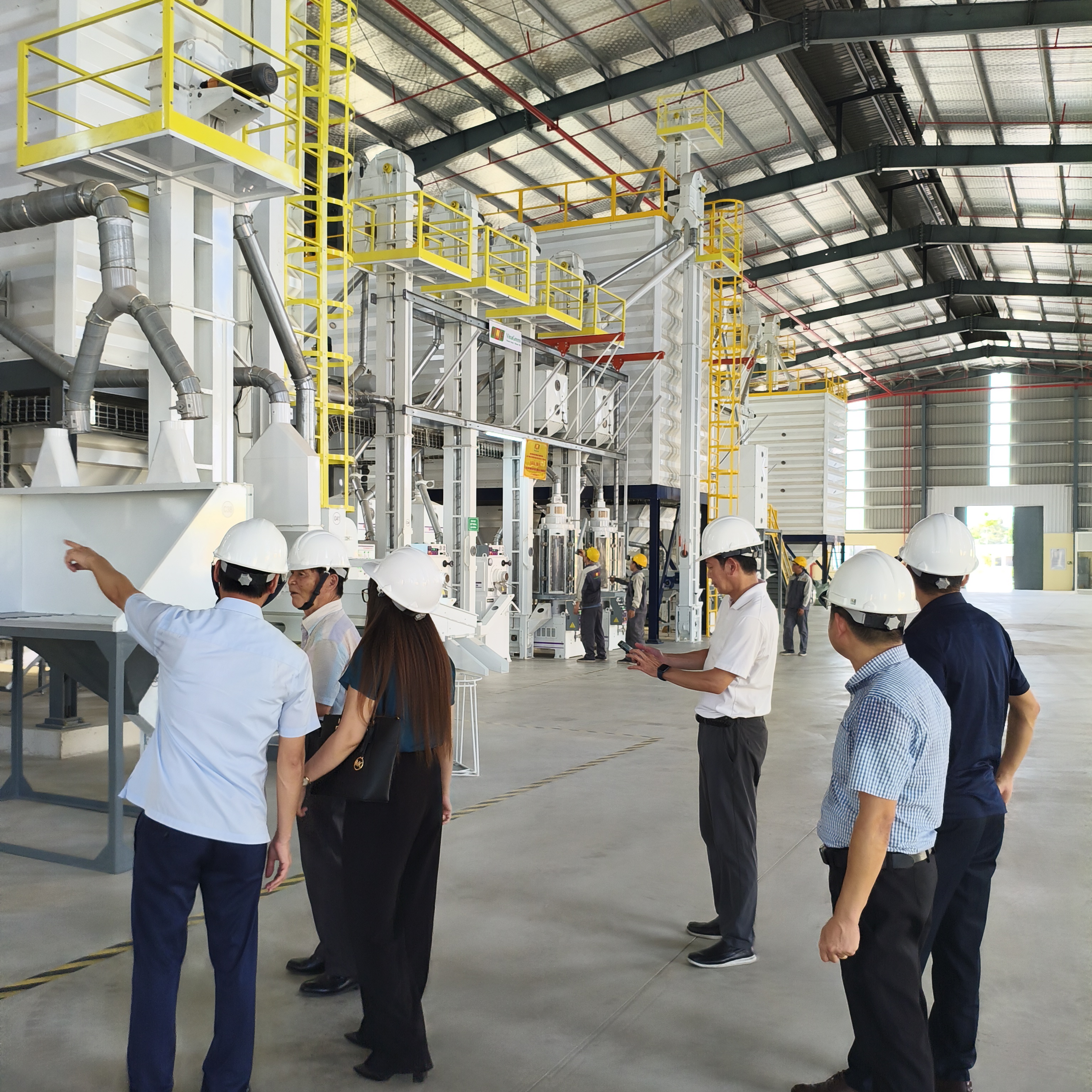 ĐỐI TÁC NHẬT BẢN LẦN THỨ 6 ĐẾN LÀM VIỆC TẠI NHÀ MÁY CHẾ BIẾN NÔNG SẢN CHẤT LƯỢNG CAO VINAGREEN VỀ XUẤT KHẨU GẠO JAPONICA VÀ CƠM ĂN LIỀN SANG NHẬT